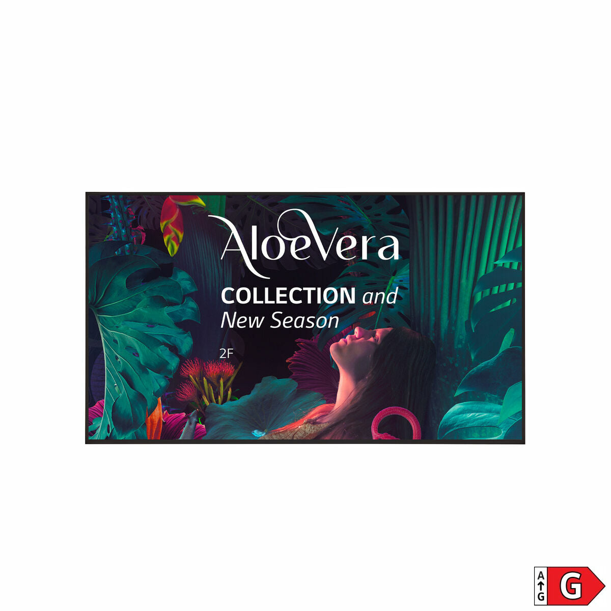 V4H9DBD66744C543B95C78DD11F7A3B6E0BR4980103P2