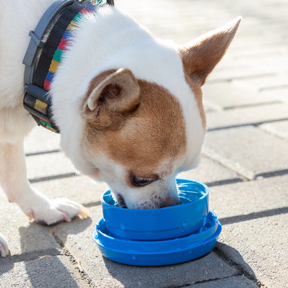 V11H9D42A2DE437D3F21301E957840C9D84BR4145852P7