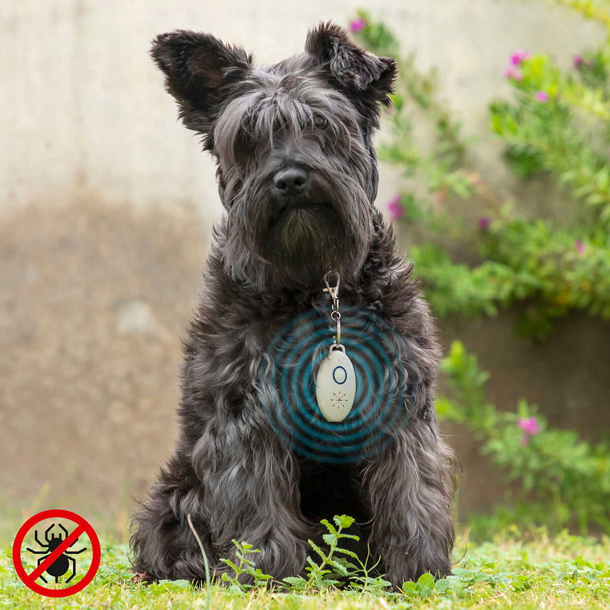 V12HAFDDCD57AB41B92EE9DB43D40DEF1DFAR5434219P1