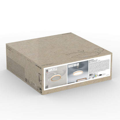 V2H7A5392AA5A30BF12DACCA13E49EEF2B2R5563511P10